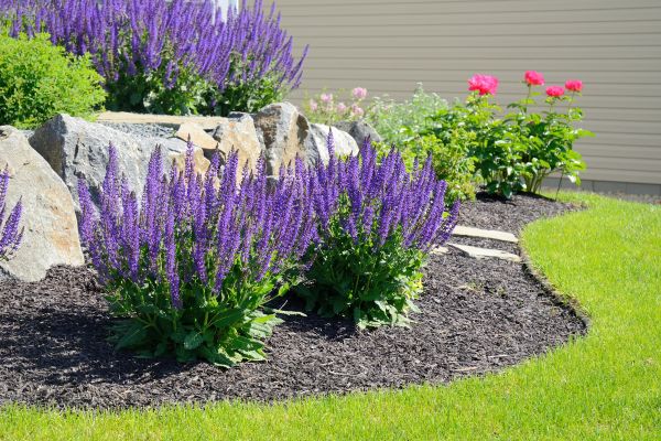 Landscape Planting Service in Sun City West
