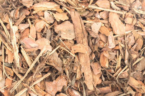 Bark Mulch Installation in Sun City West