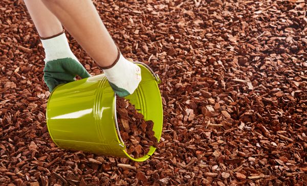 Wood Chip Landscaping in Sun City West
