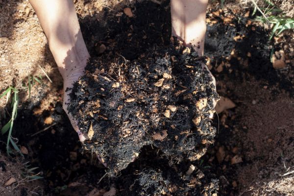 Organic Mulch Installation in Sun City West