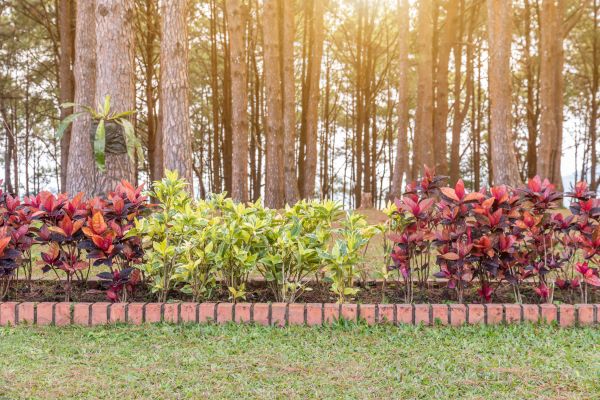 Small Garden Landscaping in Sun City West