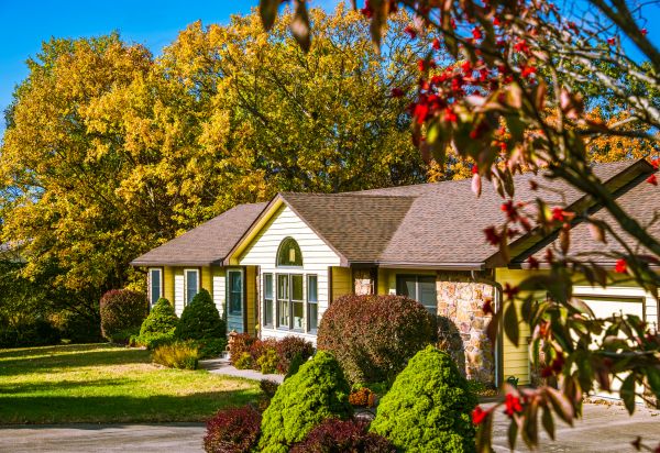 Ranch Landscaping in Sun City West