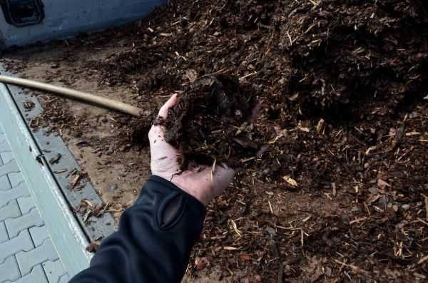 Condo Mulching in Sun City West