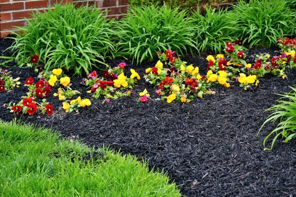 Apartment Mulching in Sun City West