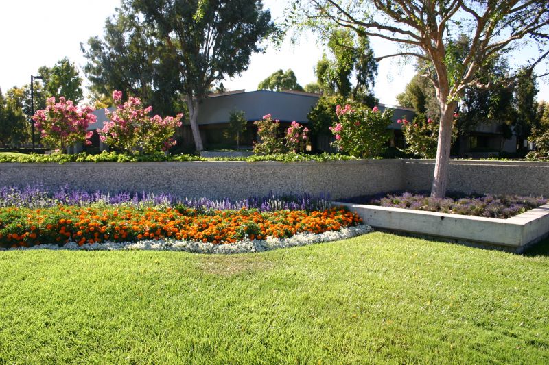 Commercial Landscape Service