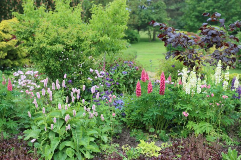 Perennial Flower Planting